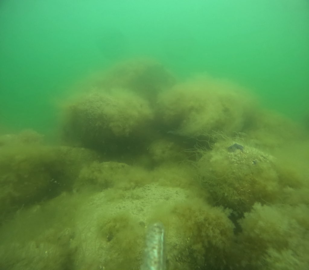 monitorering Egmont Revet 4 maj 24